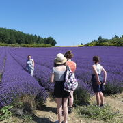© Village de Vacances La Fontaine d'Annibal - <em>FONTAINE ANNIBAL</em>