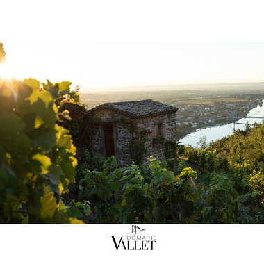 © Domaine Vallet - <em>anthony vallet</em>