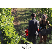 © Domaine Vallet - <em>stéphane berthier</em>