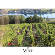 © Domaine Vallet - <em>stéphane berthier</em>