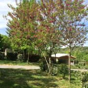 © Pont Campingplatz - <em>YASMINE LOUCHARD</em>