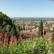 © La Mante religieuse - <em>©Châteauneuf du Pape Tourism</em>