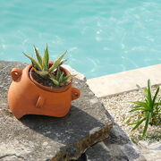 © Mazet Solaris - <em>Denis Bouscarat</em>