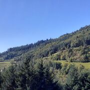 © Theolier's Farm - <em>Evelyne Milesi</em>