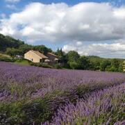 © Village de gîtes Le Serre de Pierre - <em>DEMAY</em>