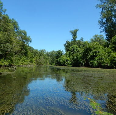 © Die Ziegeninsel - <em>Ile du Beurre</em>