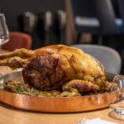 © Le Domaine du Colombier - Le Bistrot 270 - <em>Live and shoot</em>