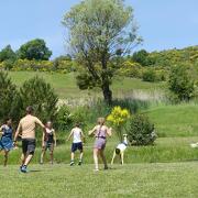 © La Piarra - <em>Duhamel-Ally</em>