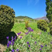 © La Piarra - <em>Duhamel-Ally</em>