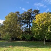 © Château de Lemps - <em>château de Lemps</em>