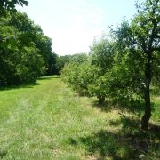 © Die Vienne Balsam - <em>Maison Colombier</em>