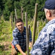 © Domaine Mouton Père et Fils - <em>InstapadesStudio</em>