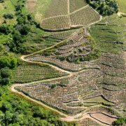 © Domaine Mouton Père et Fils - <em>InstapadesStudio</em>