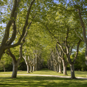 © Hôtel - Restaurant - Spa Château les Oliviers de Salettes - <em>Château Les Oliviers de Salettes</em>