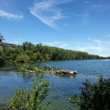 © Die Butterinsel - <em>Centre d'observation de la nature de l'Ile du Beurre</em>