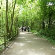 © Die Butterinsel - <em>Centre d'observation de la nature de l'Ile du Beurre</em>