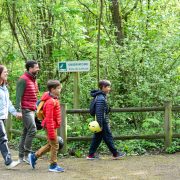 © Naturbeobachtungszentrum auf der Île du Beurre_Tupin-et-Semons - <em>InstapadesStudio</em>