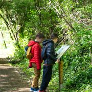 © Naturbeobachtungszentrum auf der Île du Beurre_Tupin-et-Semons - <em>InstapadesStudio</em>