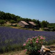 © Le tilleul - Village de gîtes Le Serre de Pierre - <em>Gîtes de France</em>