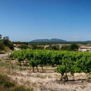 © Le tilleul - Village de gîtes Le Serre de Pierre - <em>Gîtes de France</em>