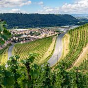 © Domaine de Rosiers - <em>Gourdain Maxime</em>