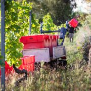 © Domaine de Rosiers - <em>Gourdain Maxime</em>