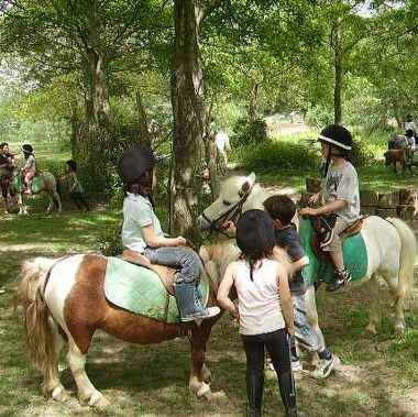 Centre équestre Le Couzon