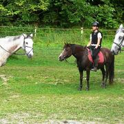 Centre équestre Le Couzon