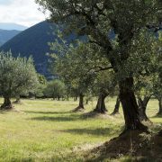 © Le tour de Lance - <em>Conservation du patrimoine drômois</em>