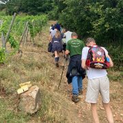 © Mr Probus Guide Œnotouristique - <em>Denis LARDIN</em>