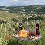 © Mr Probus Guide Œnotouristique - <em>Denis LARDIN</em>