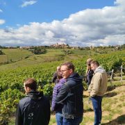 © Rhône Trip_Vienne - <em>Rhône Trip DR</em>