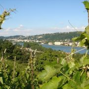 © Wandern zwischen Rhône und Weinbergen: Tupin, Condrieu, Semons - <em>OT Vienne</em>