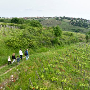 © Wandern zwischen Rhône und Weinbergen: Tupin, Condrieu, Semons_Tupin-et-Semons - <em>Instapades Studio</em>