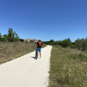 © Mas de Veyras - les micocouliers - <em>Mas de Veyras</em>