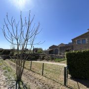 © Mas de Veyras - les micocouliers - <em>Mas de Veyras</em>