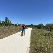 © Mas de Veyras - les châtaigniers - <em>Mas de Veyras - Les Châtaigniers</em>