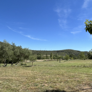 © Mas de Veyras - les châtaigniers - <em>Mas de Veyras - Les Châtaigniers</em>