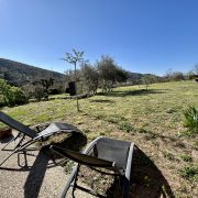 © Mas de Veyras - les châtaigniers - <em>Mas de Veyras - Les Châtaigniers</em>