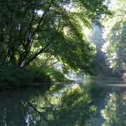 © Die Butterinsel - <em>Centre d'observation de la nature de l'Île du Beurre</em>
