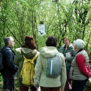 © Naturbeobachtungszentrum auf der Île du Beurre - <em>Centre d'observation de la nature de l'île du Beurre_Tupin-et-Semons</em>