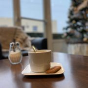 Hôtel Ibis Lyon Sud