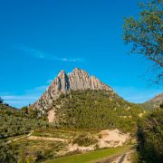 © Hotel Les Arcades - Le Lion d'Or - <em>@CoralineDebray</em>