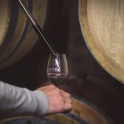 © Besichtigung und Verkostung auf dem Weingut Burgaud_Ampuis - <em>DR</em>