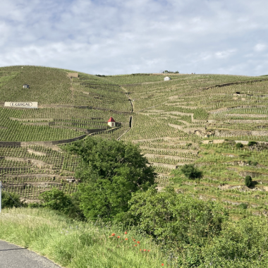 © Die Côte-Rôtie in ihrer ganzen Größe, von den Weinbergen bis zu den Weinkellern mit Herrn Probus - <em>Denis LARDIN</em>
