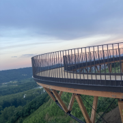 © Die Côte-Rôtie in ihrer ganzen Größe, von den Weinbergen bis zu den Weinkellern mit Herrn Probus - <em>Denis LARDIN</em>