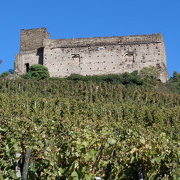 Vignoble de Seyssuel