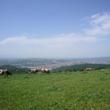 Pfad Jean-Jacques Rousseau