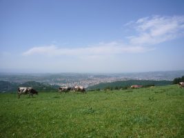 Pfad Jean-Jacques Rousseau