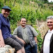Les Vins de Vienne